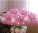 Фото в Развлечения и досуг Организация праздников Воздушные шары - это отличное настроение в Дзержинске 250