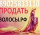 Скачать фото Салоны красоты Куплю длинные волосы в Екатеринбурге и области 3583565 в Москве Фото в Красота и здоровье Салоны красоты Дорого покупаем длинные волосы - женские, в Москве 50 000